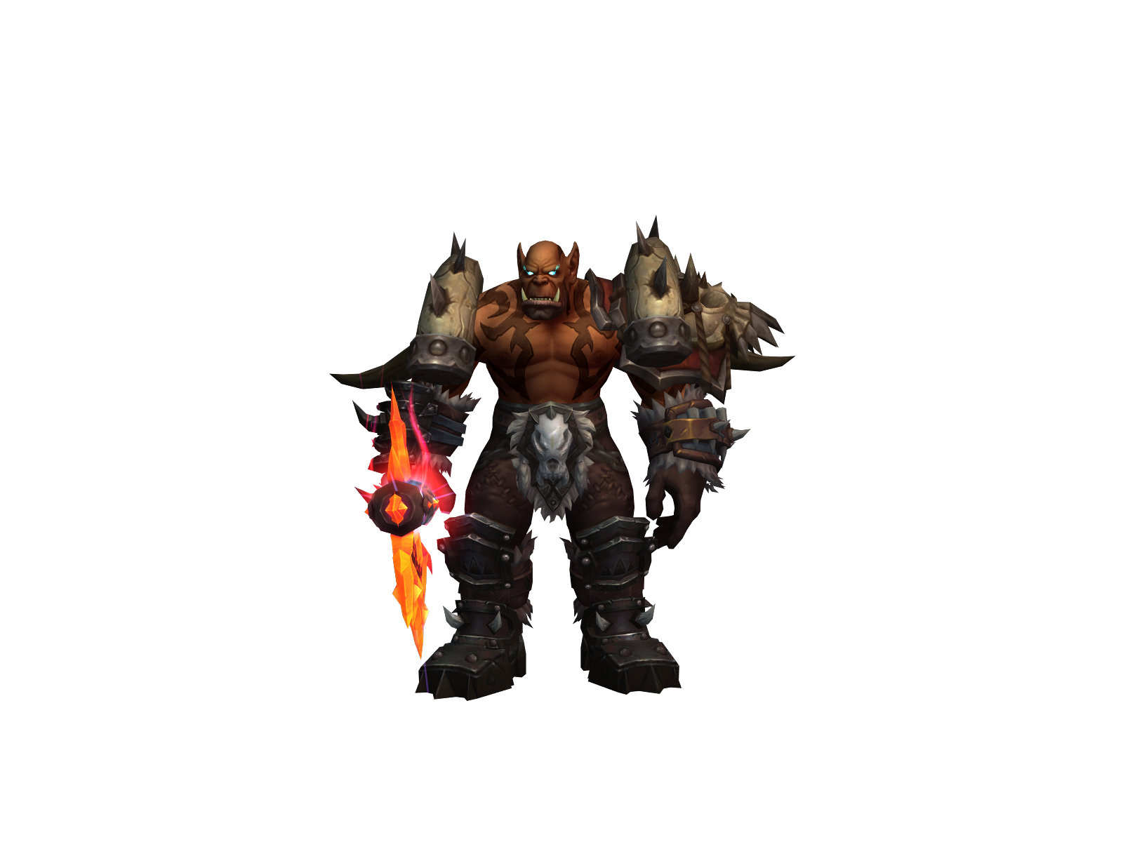Haigrus
