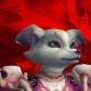 Bûbblês avatar