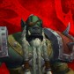 Nagrenol-twisting-nether