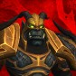 Zoggwarr