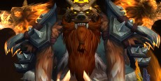 Geyman's icon