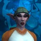 Meldruid