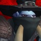 Danhaman