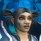 Bondusblue