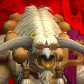 Paladinussy avatar