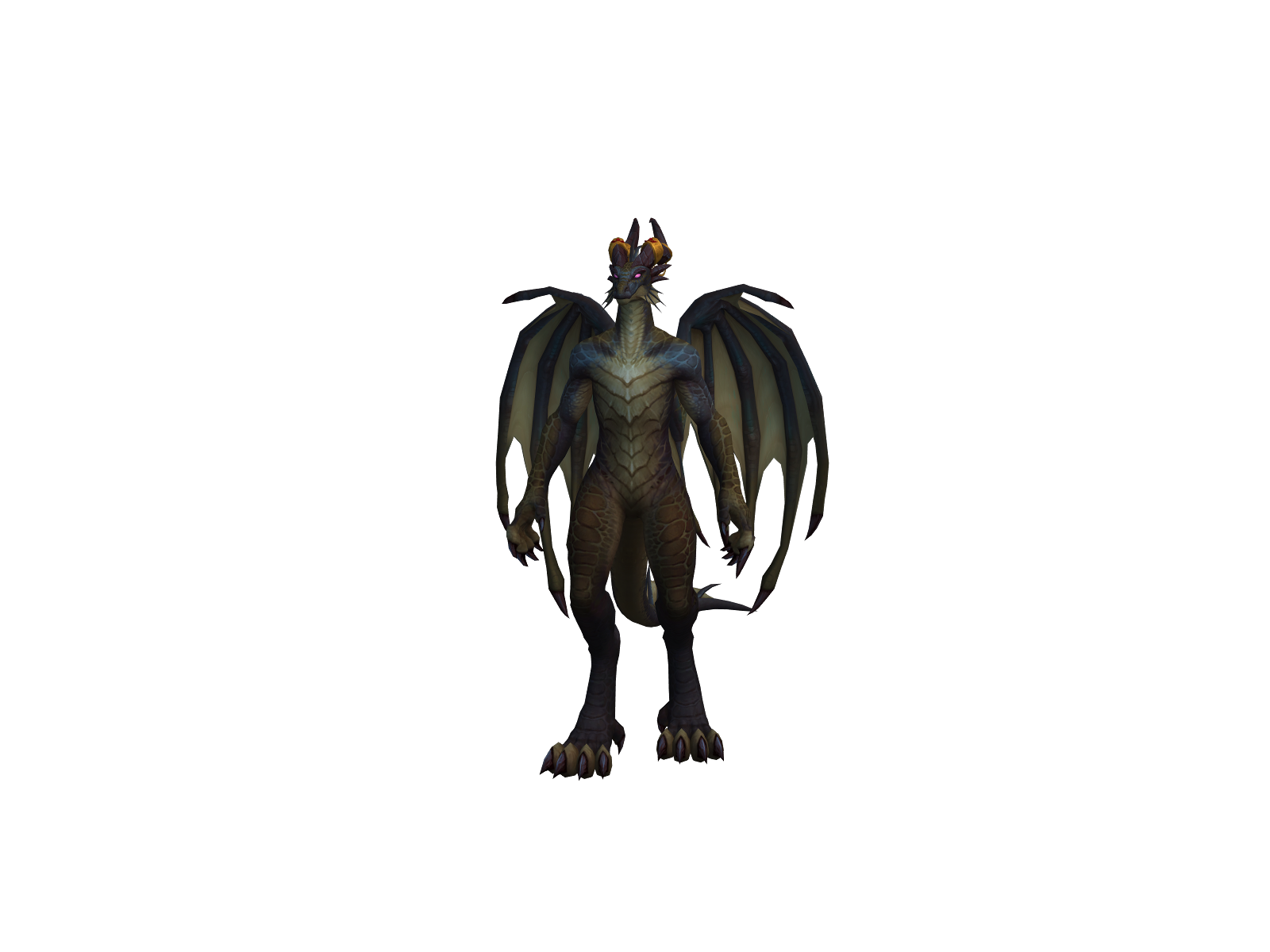 Dendrionigr