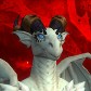 Dracha