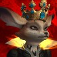 Foxshie