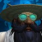 Reiaa