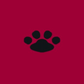 Snaplexity's guild emblem