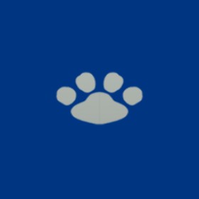 Slamdancer's guild emblem