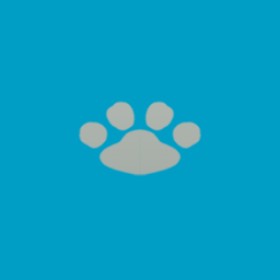 Shroms's guild emblem