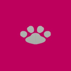 Asapglock's guild emblem