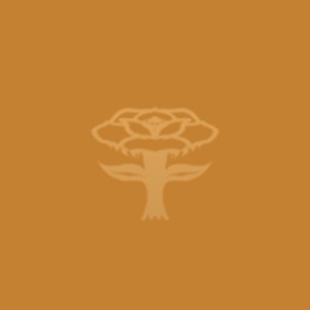 Cíndria's guild emblem