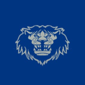 Reinhardt's guild emblem