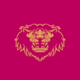 Norlum's guild emblem