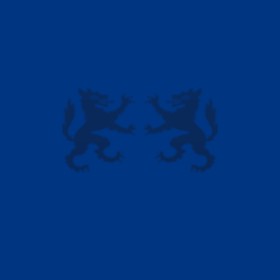 Vxxn's guild emblem