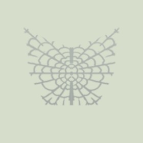 Søulz's guild emblem