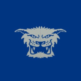 Umbrize's guild emblem