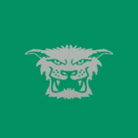 Beefgrills's guild emblem