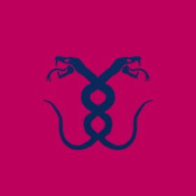 Fîzzo's guild emblem