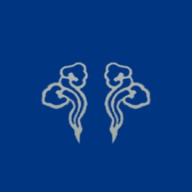 Bâêrnig's guild emblem