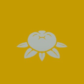 Ziyon's guild emblem