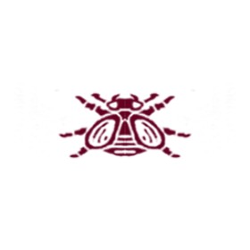 Knalli's guild emblem
