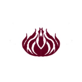 Chroniixx's guild emblem