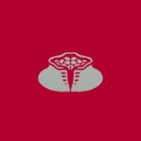 Drîtzz's guild emblem