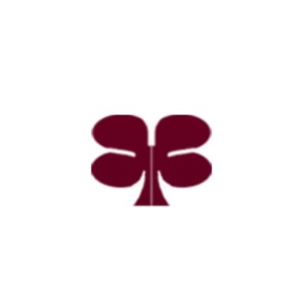 Slyvoker's guild emblem