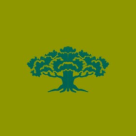 Lizanus's guild emblem