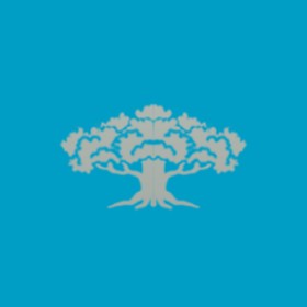 Mlody's guild emblem