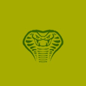 Shaidenrogue's guild emblem