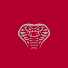 Amkodoom's guild emblem