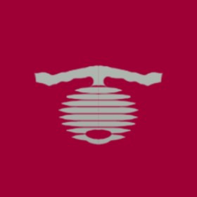 Totoman's guild emblem