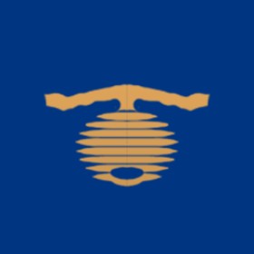 Хеймгард's guild emblem