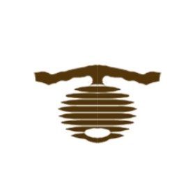 Пайрлайт's guild emblem