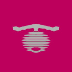 Skinnylegend's guild emblem