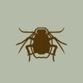 Ookyspooky's guild emblem