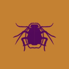 Dragonith's guild emblem