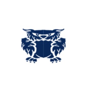 Vulcor's guild emblem