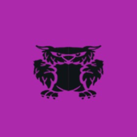 Starskiller's guild emblem