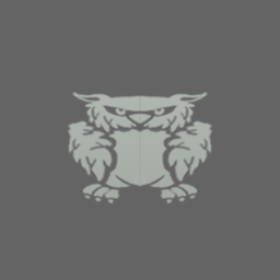 Penyo's guild emblem