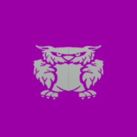 Mavik's guild emblem