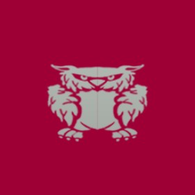 Demonvibes's guild emblem