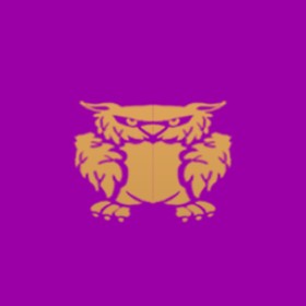 Felyuki's guild emblem