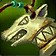 Rangari Luck Charm
