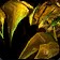 Scorpion de Durotar