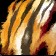 Tigerfellmantel